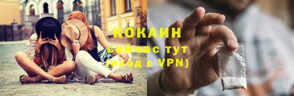 дживик Аркадак
