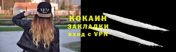 дживик Аркадак