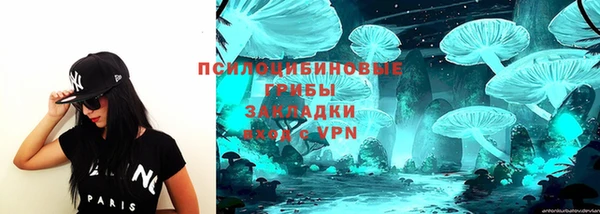 дживик Аркадак